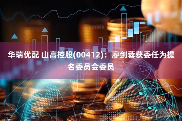 华瑞优配 山高控股(00412)：廖剑蓉获委任为提名委员会委员