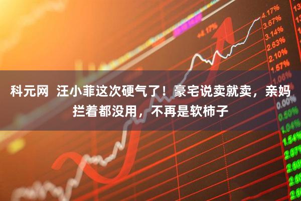 科元网  汪小菲这次硬气了！豪宅说卖就卖，亲妈拦着都没用，不再是软柿子